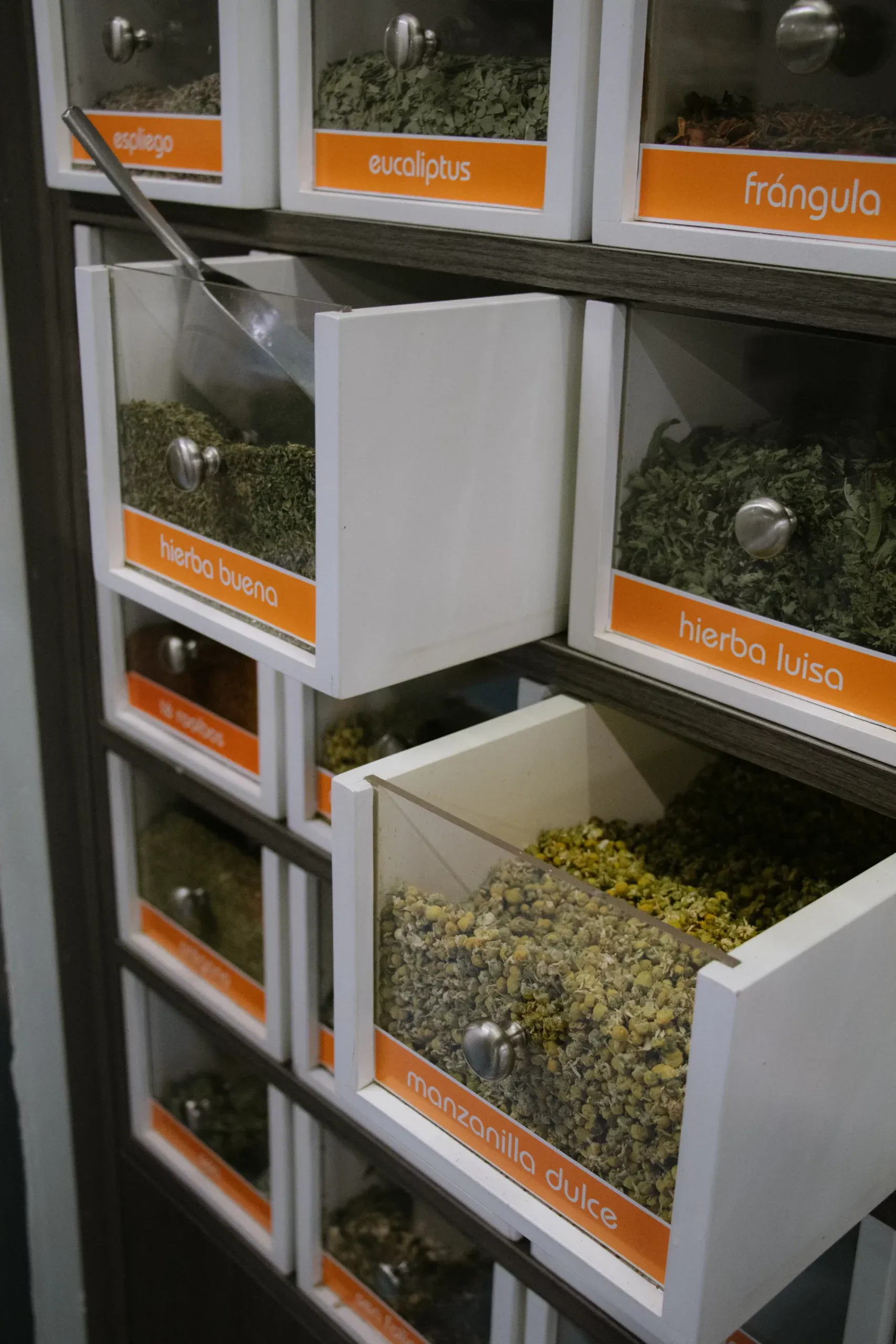 Cajones de plantas medicinales a granel con etiquetas de hierba buena y hierba luisa
